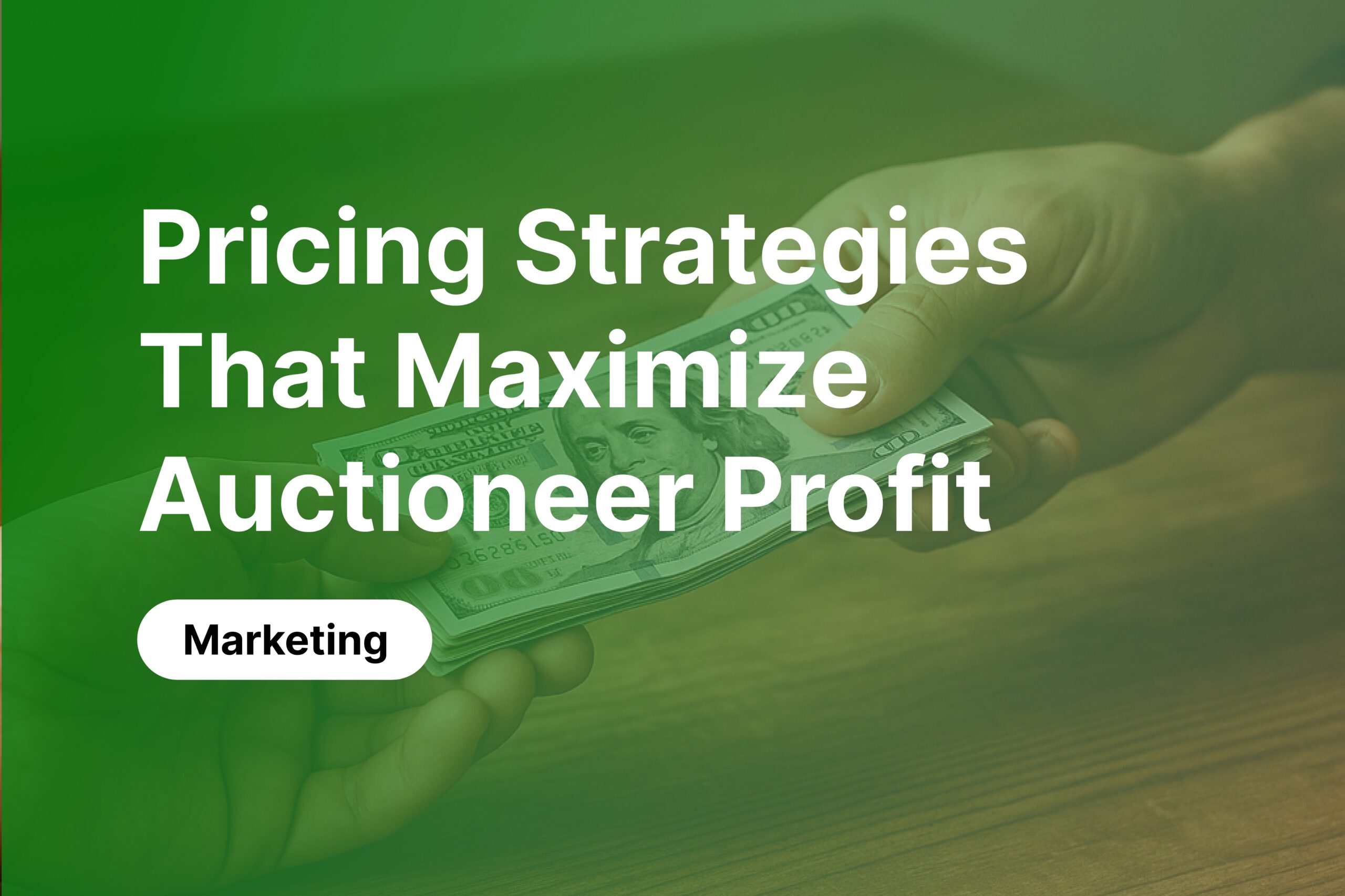 Pricing Strategies That Maximize Auctioneer Profit